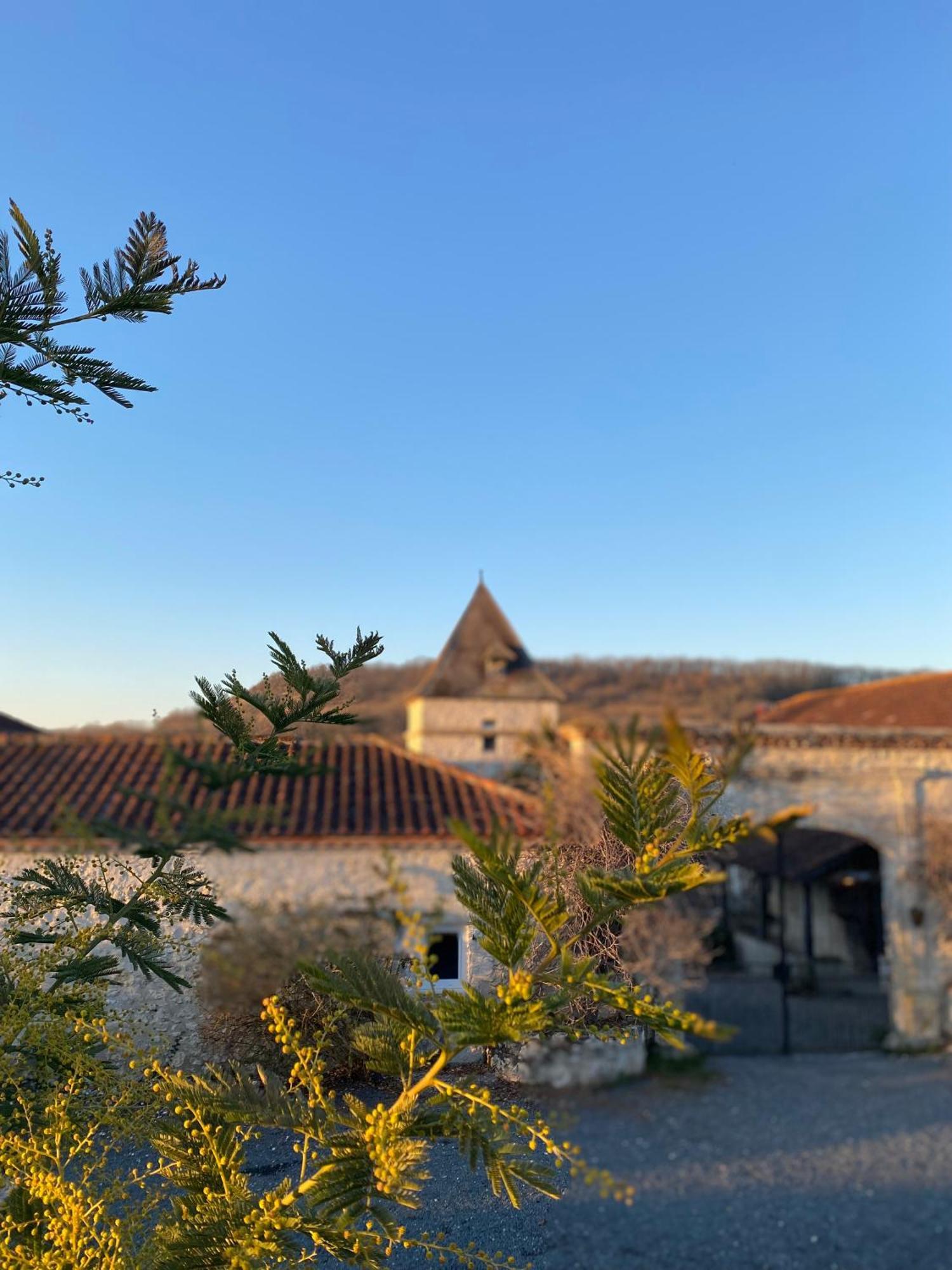 Domaine De Villot Hotel Sainte-Colombe-de-Villeneuve Екстериор снимка